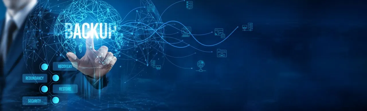 Disaster Recovery Server: Component for Business Continuity